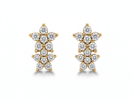 Gold Earrings