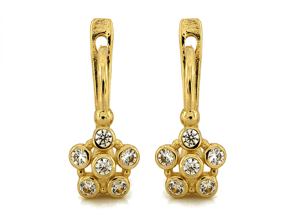 Gold Earrings