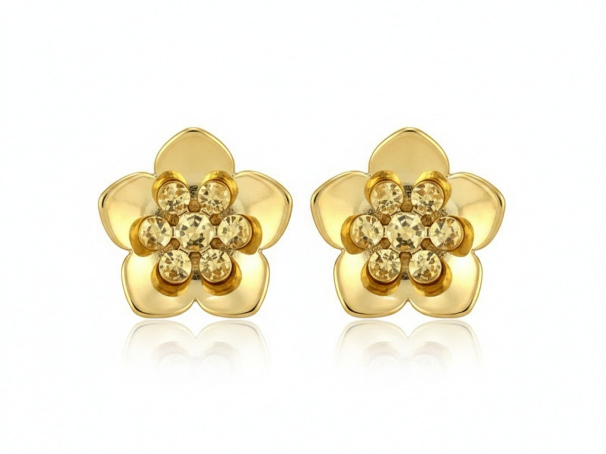 Gold Earrings