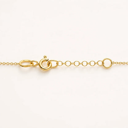Close-up of a 14K gold Lucche necklace chain and clasp on a white background.