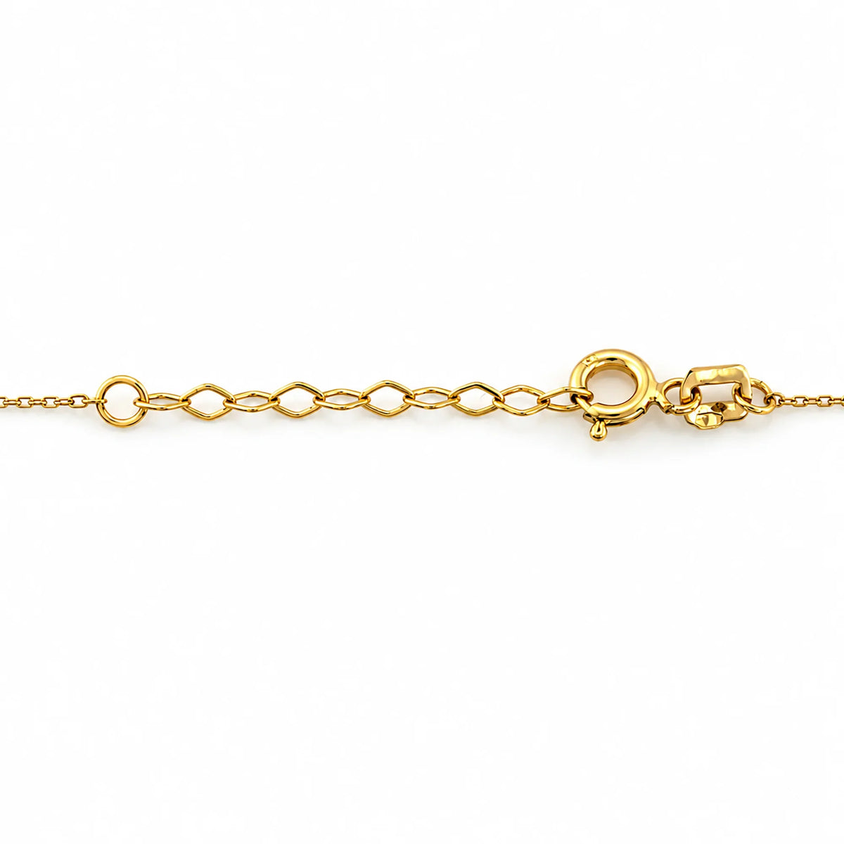 Close-up of a Lucche 14K gold necklace chain with a lobster clasp and extender.
